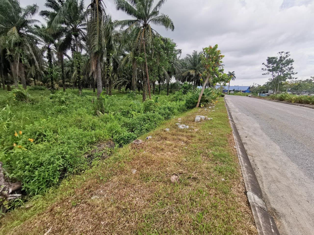 Gelang Patah Industry Land for Sale